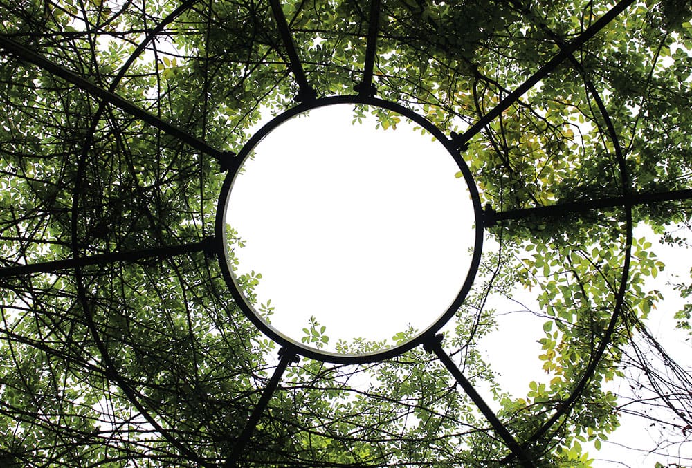Alnwick Garden - a garden of fairy tales