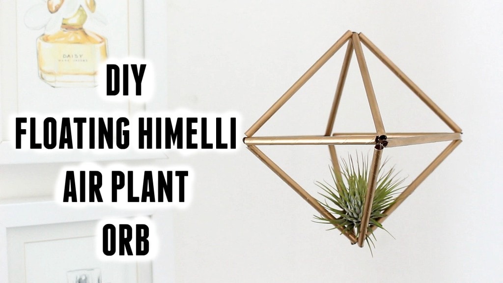 DIYPLANTER