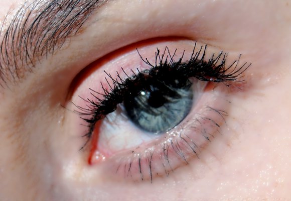 how to apply individual lashes