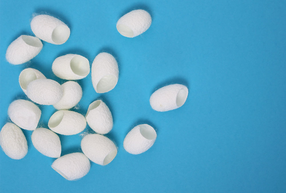 silk cocoons
