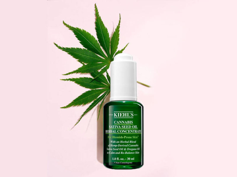 kiehls cannabis salvia seed oil herbal concentrate