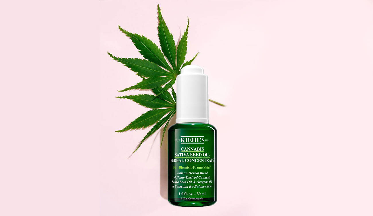kiehls cannabis salvia seed oil herbal concentrate